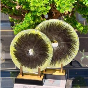 Iris 2-Piece Glass Fusion